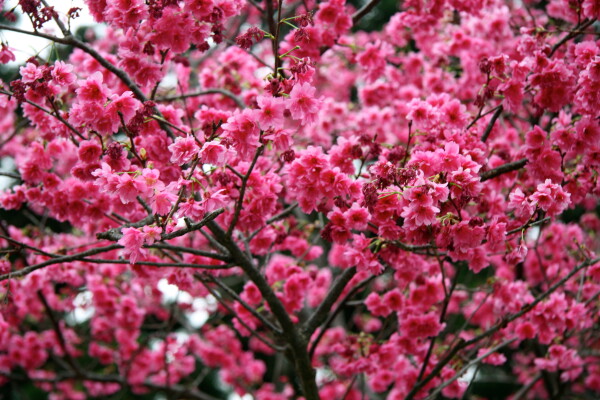 What’s it all about?