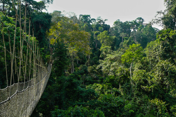 Samadhi Belum Retreat