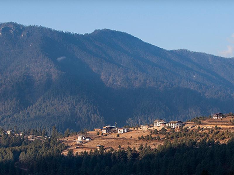 Views over the valley from Gangtey Lodge