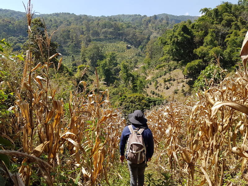 Fang, northern Thailand