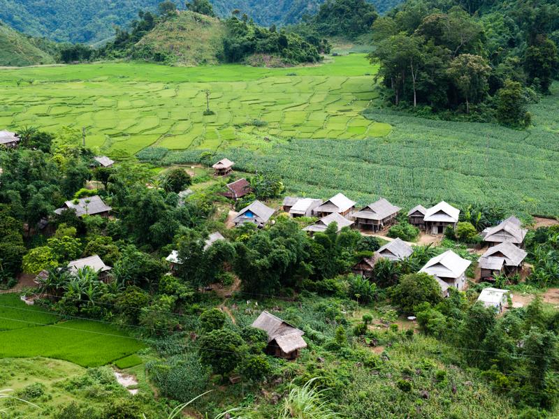 Mai Chau