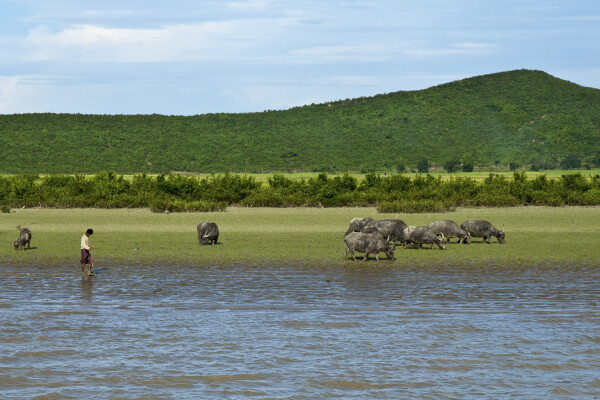 Chindwin River cruise, Myanmar