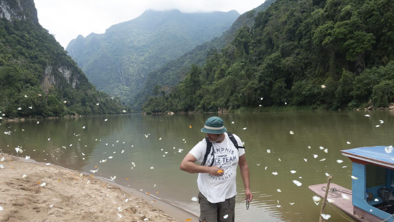 Laos Specialist Lionel and Butterflies