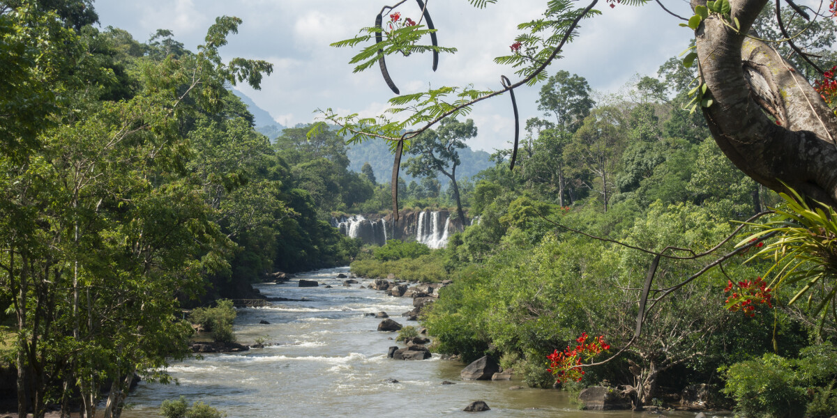 A waterfall at the end of a river