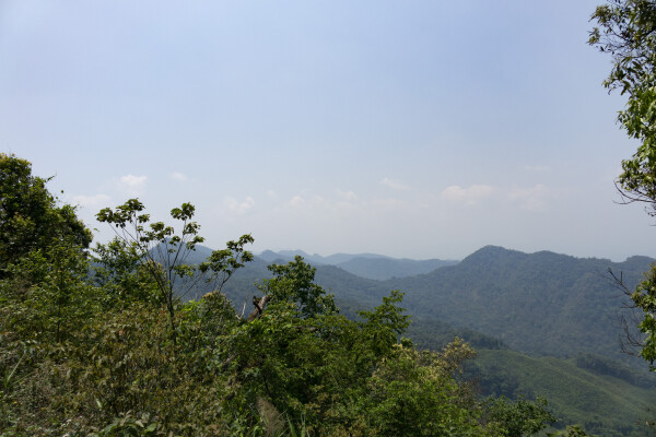 Fly through the canopy on a jungle zipline, near Pakse