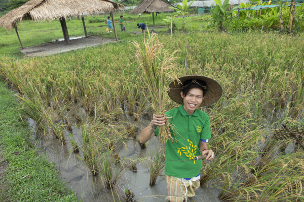 Get grubby at Living Land Organic Farm
