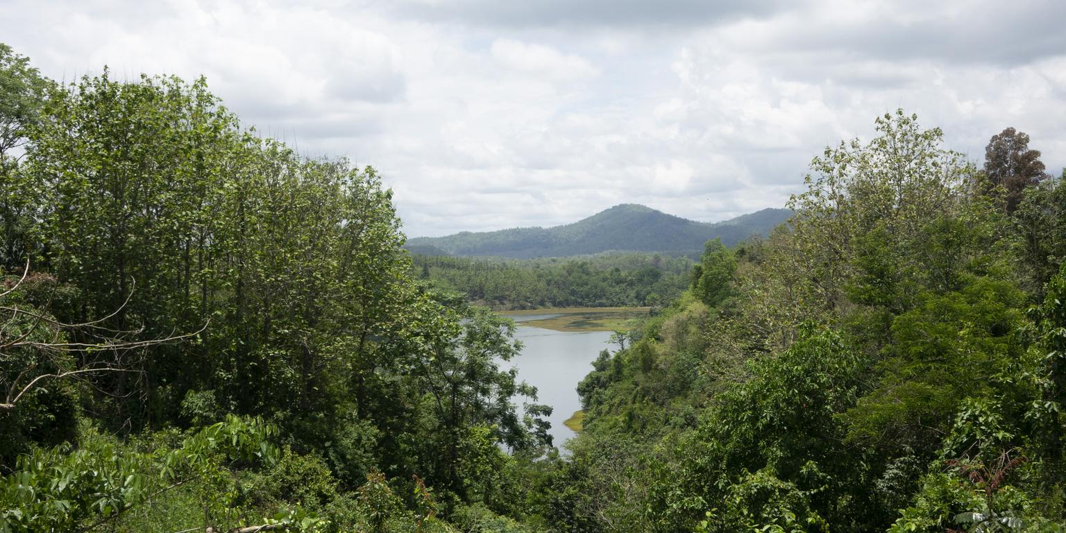 walking in northern Laos - crossing a bamboo bridge