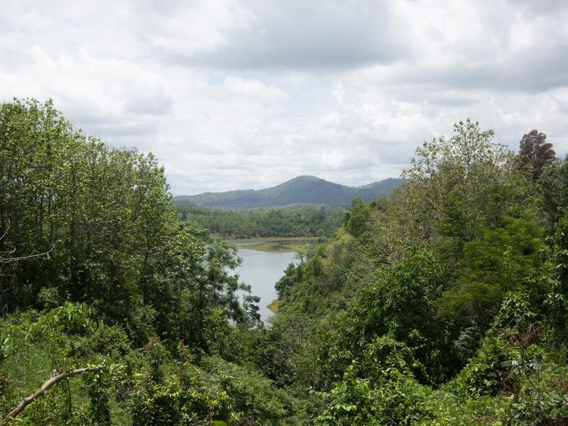 walking in northern Laos - crossing a bamboo bridge
