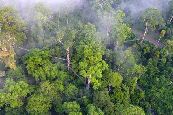 Borneo Rainforest Lodge, Danum Valley, Malaysian Borneo