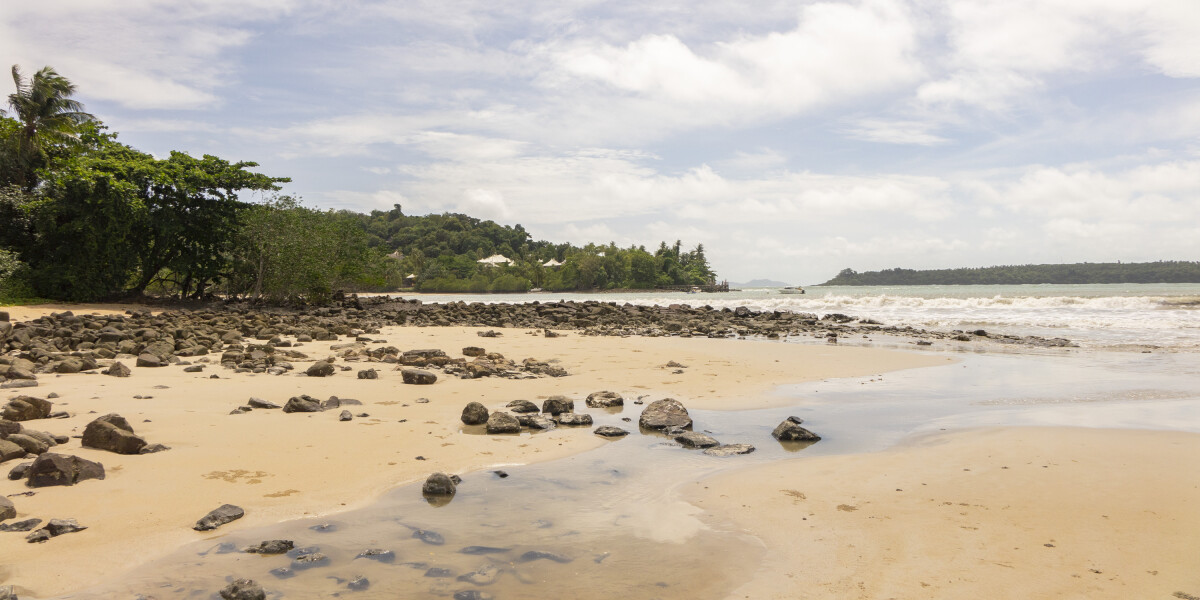 An empty sandy beach with palm trees on the shore