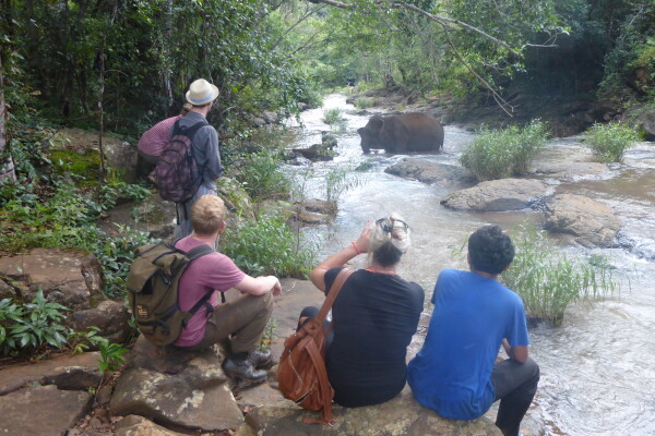 Elephant Valley Project, Mondulkiri, Cambodia