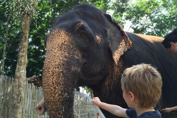 Elephant Hills, Khao Sok National Park, Thailand