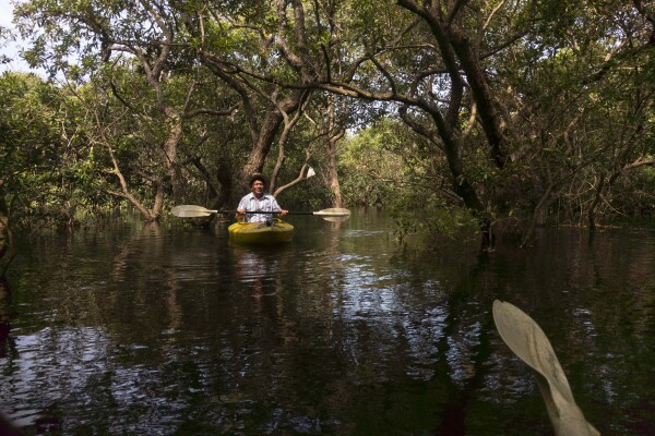 Pedal past Prasat Prei to a flooded forest…