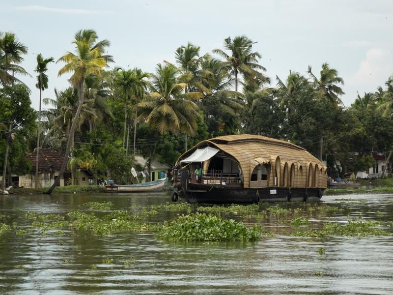 Kerala backwaters