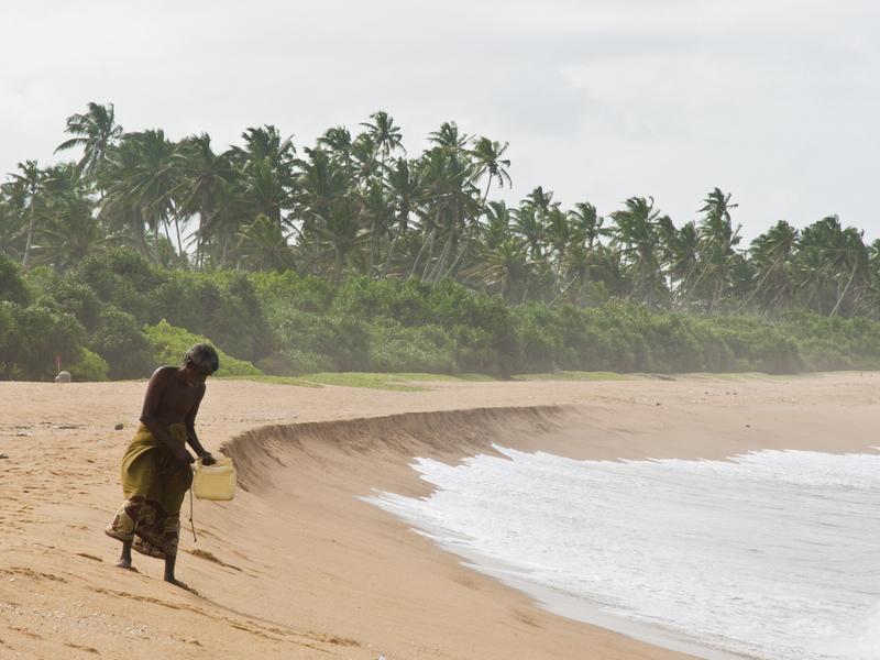Beach sri lanka