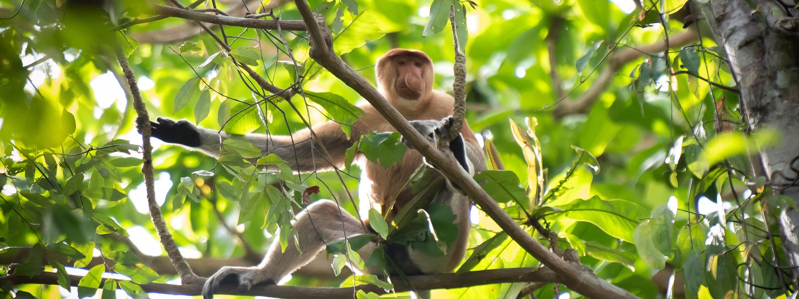 Malaysia family holidays