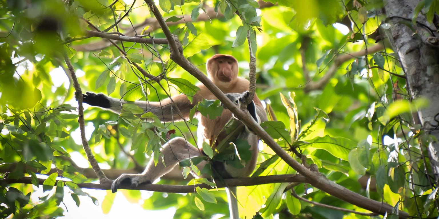 Malaysia family holidays