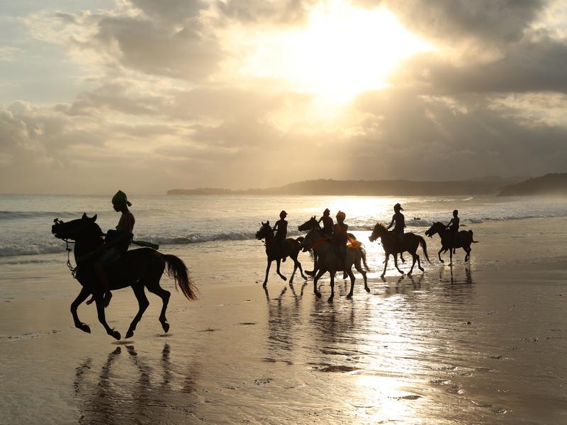 Nihi Sumba Horse Riding