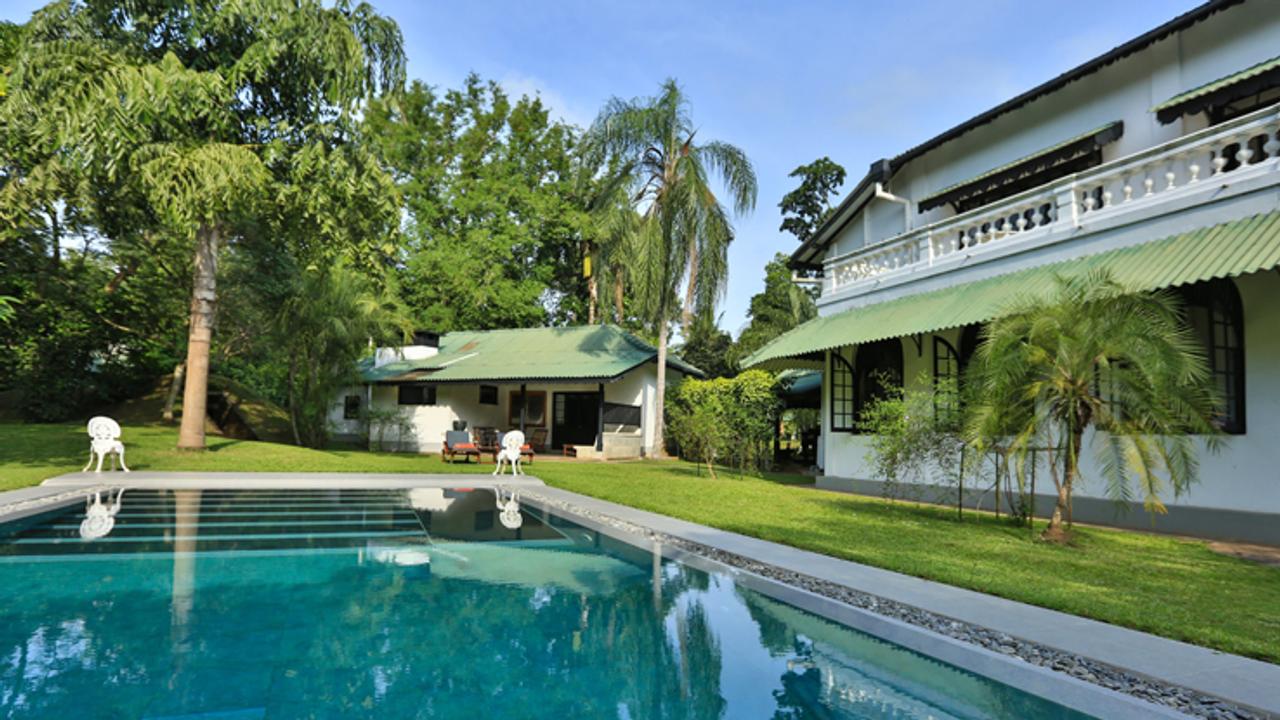 Horathapola Coconut Estate