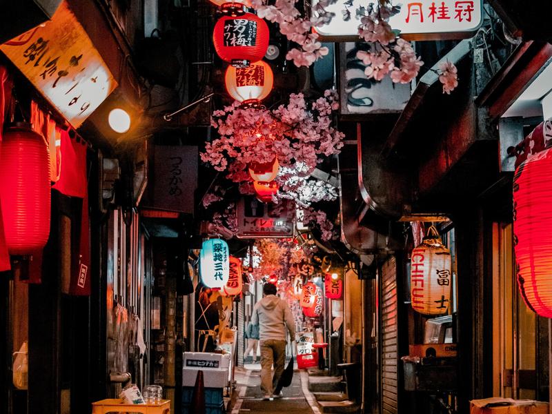 Omoide Yokocho, Tokyo