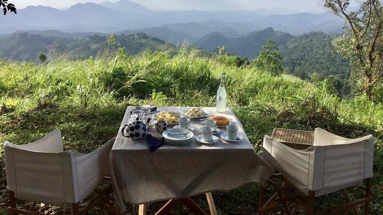 Ashburnham Tea Estate