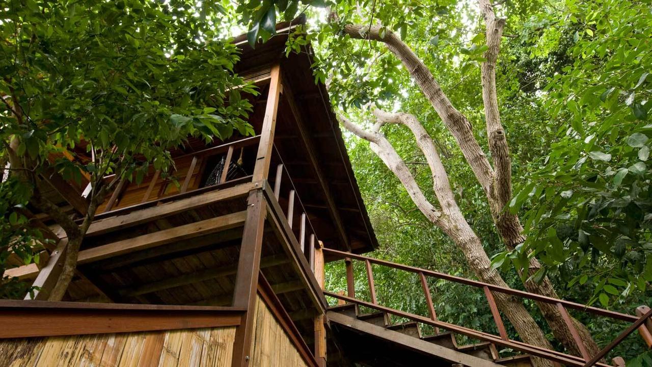 Bungalows surrounded by trees at Japamala Resort
