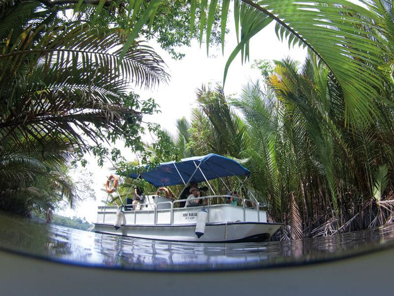 Wildlife cruise at Tanjong Jara Resort