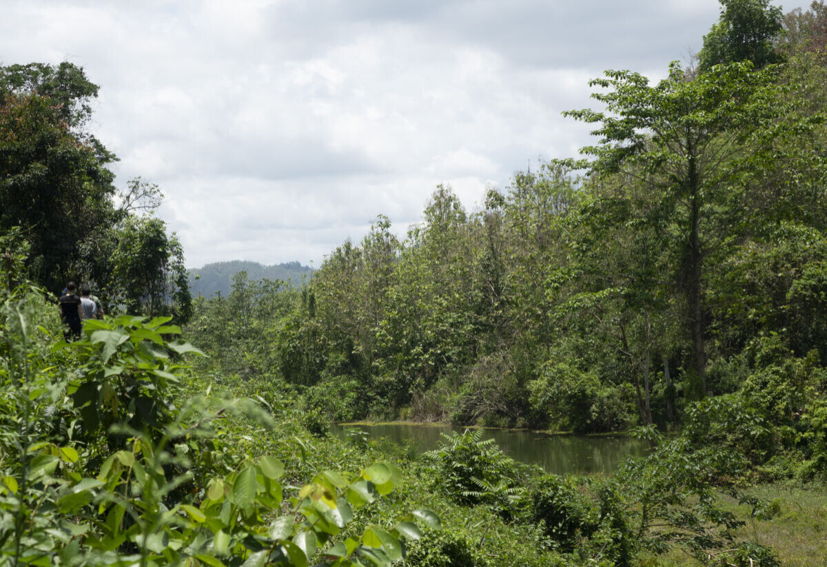 Small figures in front of a huge waterfall in the jungle