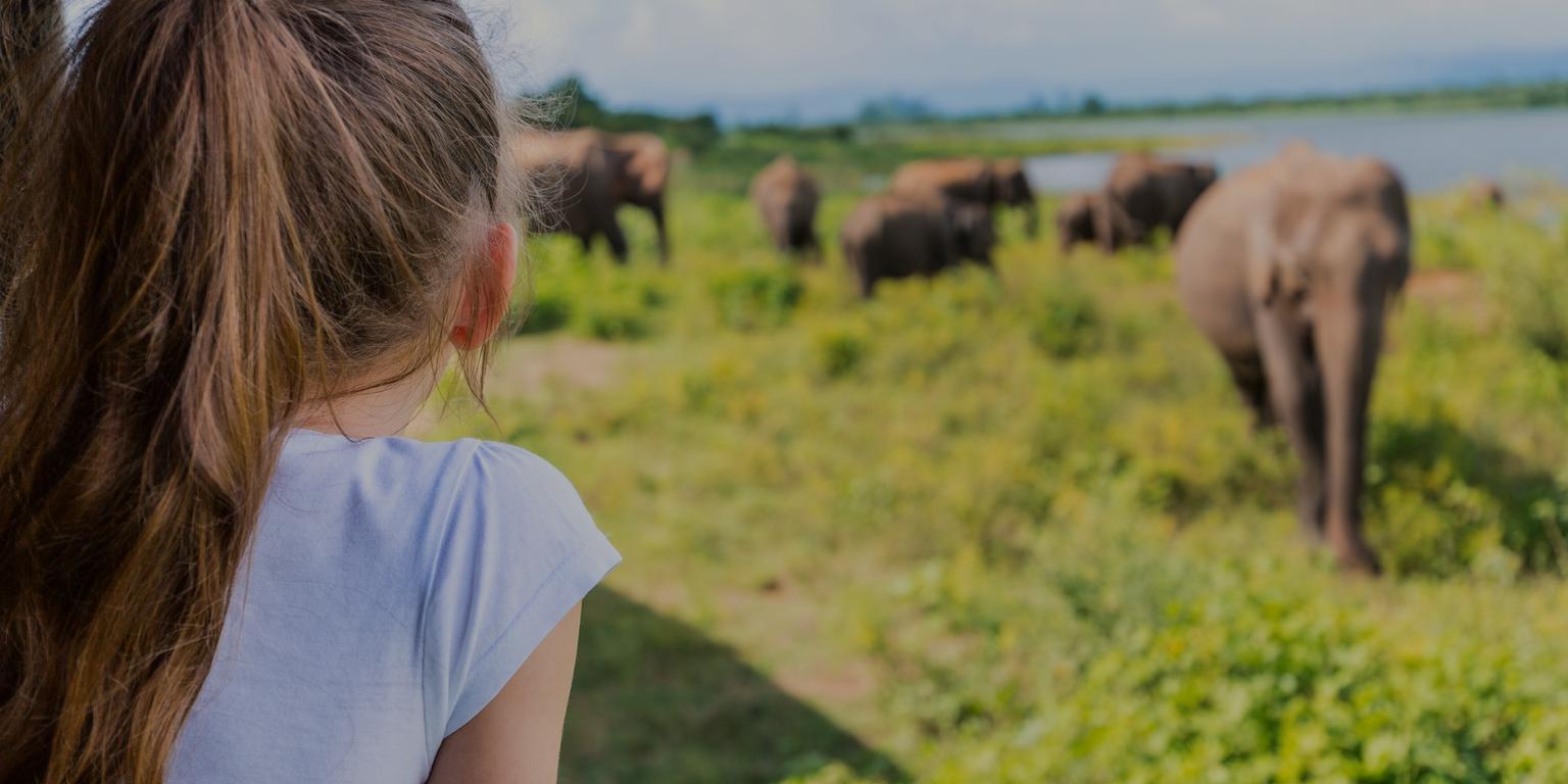 Sri Lanka girl looking at elephant