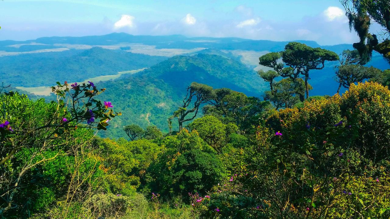 Horton Plains, Sri Lanka