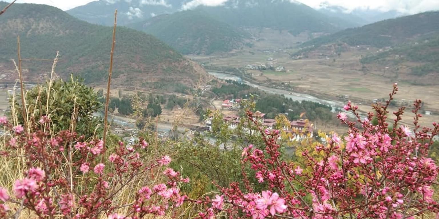 View of Punakha Dzong