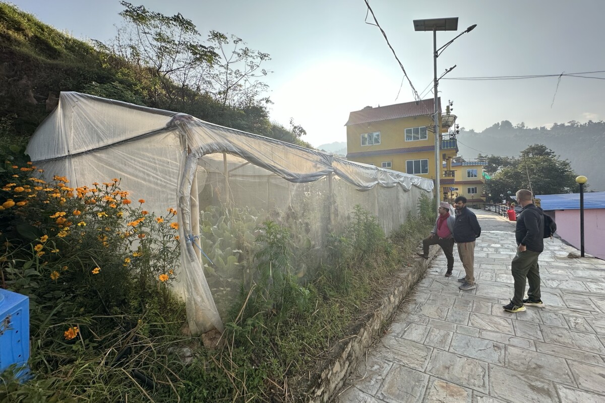 Greenhouses at Nepal's Community Homestay Network