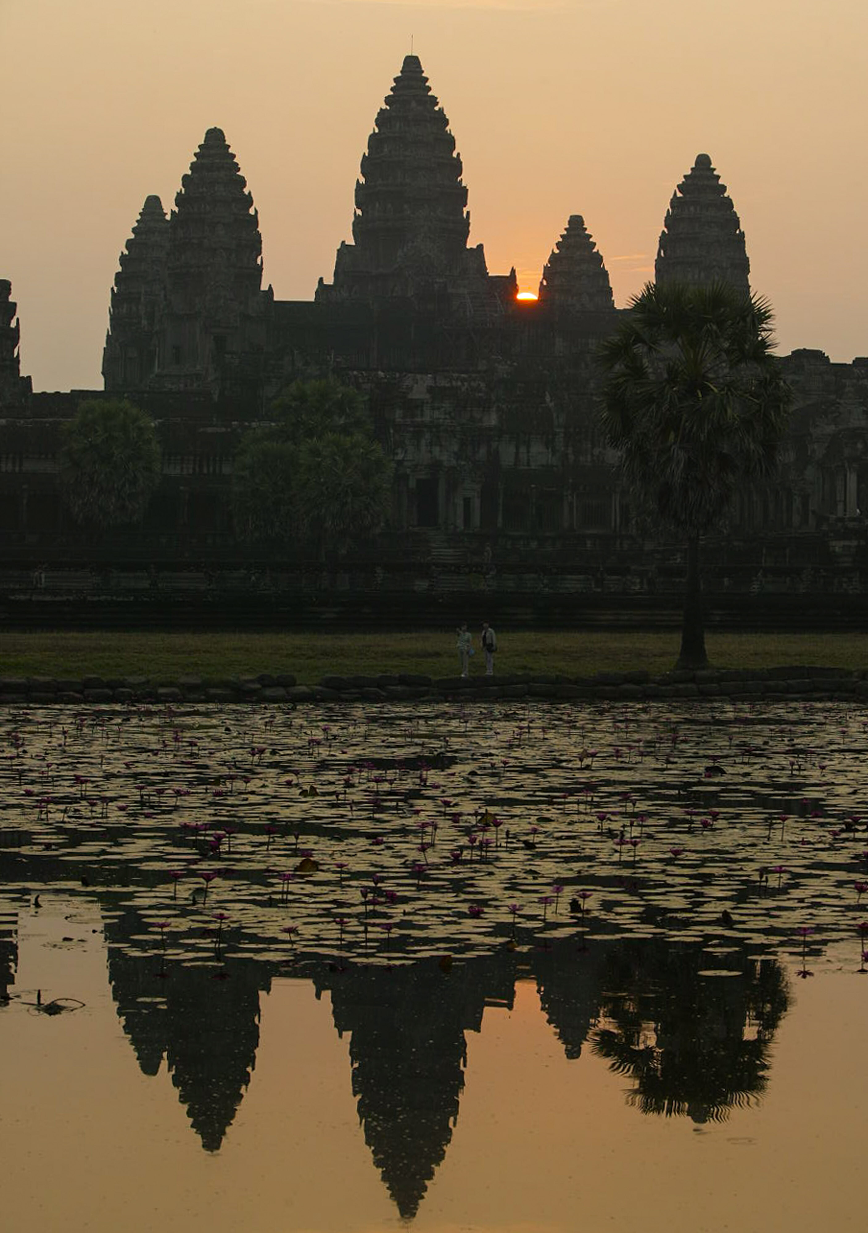 Ancient Khmer temples reflected in a lily pond