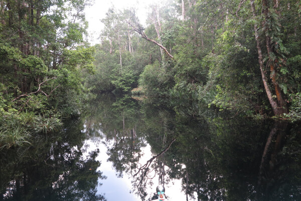 Klotok Cruise through Tanjung Puting, Kalimantan