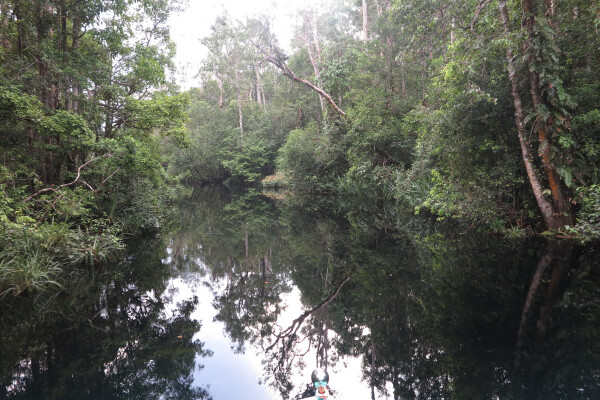 Klotok boat safari through Tanjung Puting National Park, Indonesia