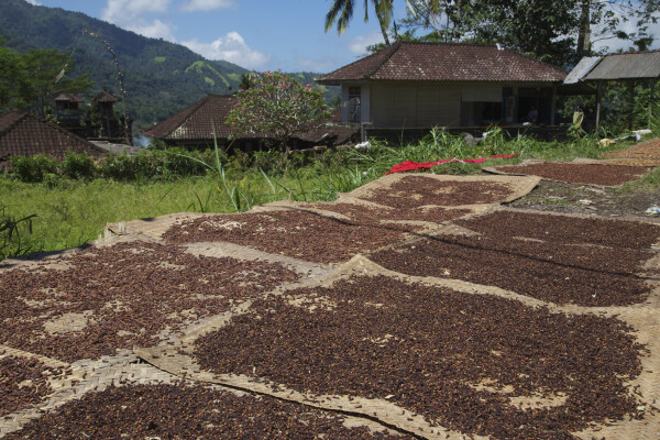 4. Full of beans at MesaStila Resort