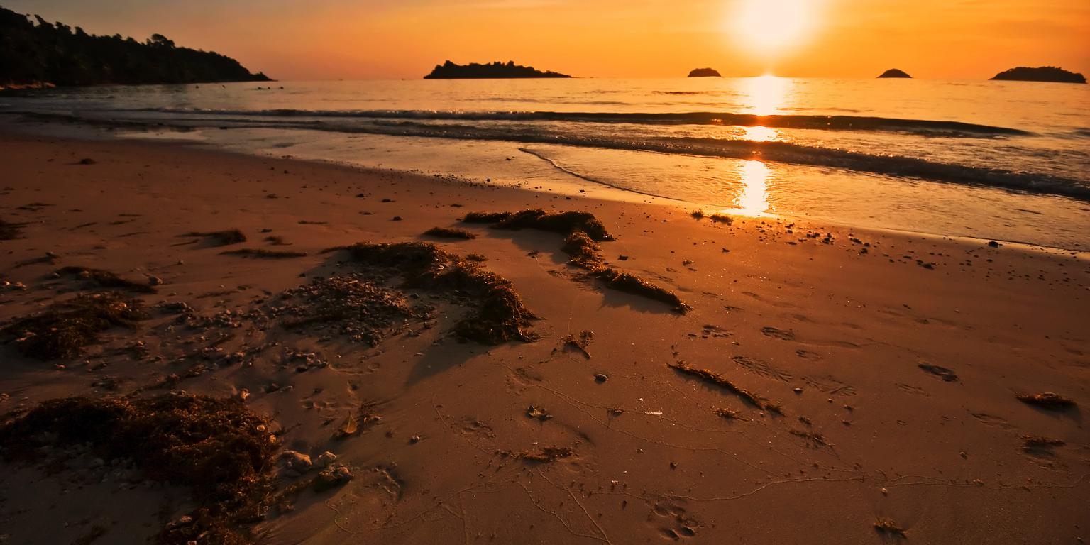 beach at sunset