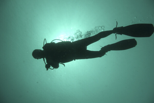 diver silhouette