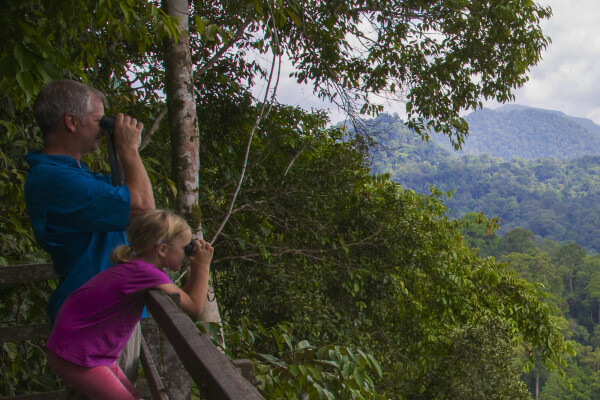 Danum Valley Conservation Area and Tabin Wildlife Reserve