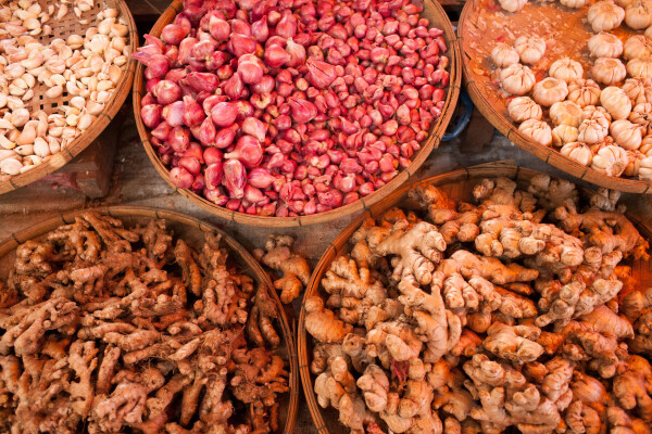 The Passport, Mae Sot, Thailand