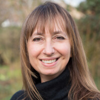 Lou - Selective Asia