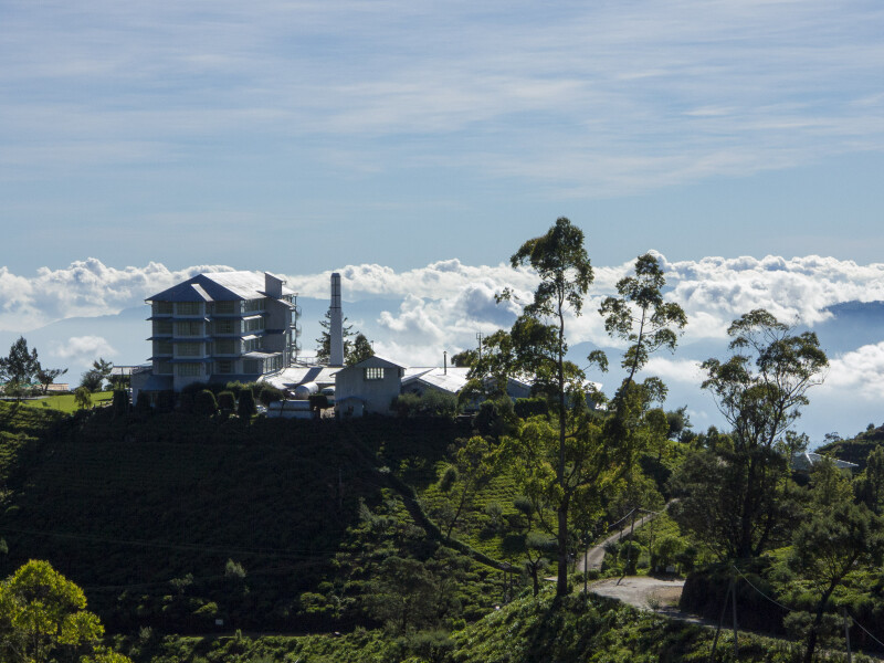 Sip Ceylon on Sri Lanka's emerald tea farms…
