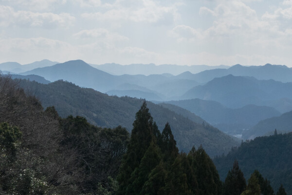 Seclusion and immersive art in Shikoku