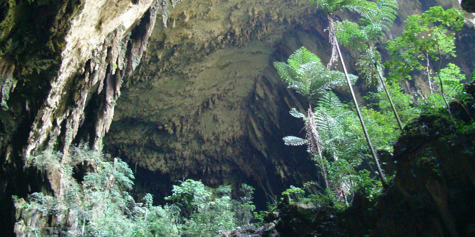 Mulu caves