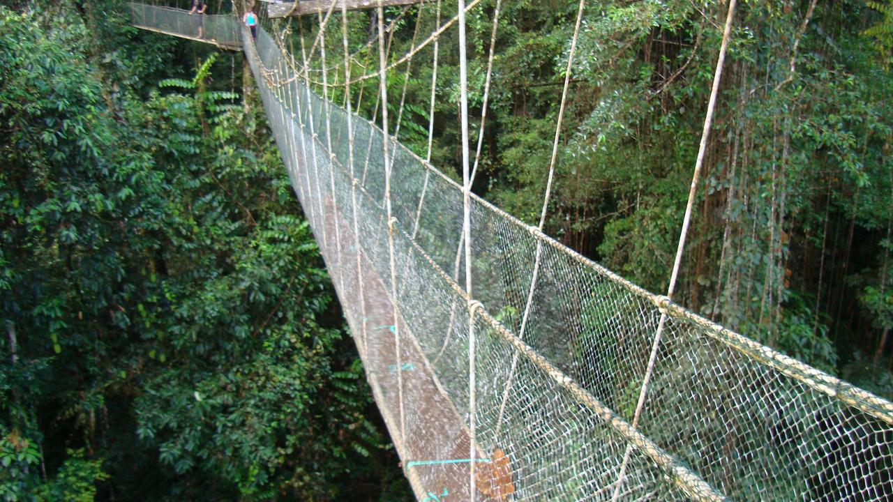 Gunung Mulu National Park