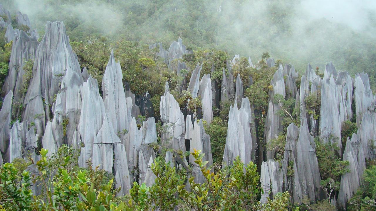 Gunung Mulu National Park